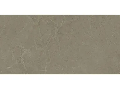 Norwich Taupe N-Plus Matt Rect. 60x120 - płytka gresowa