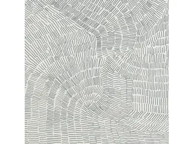 Fossil Grey 60x60 - płytka gresowa