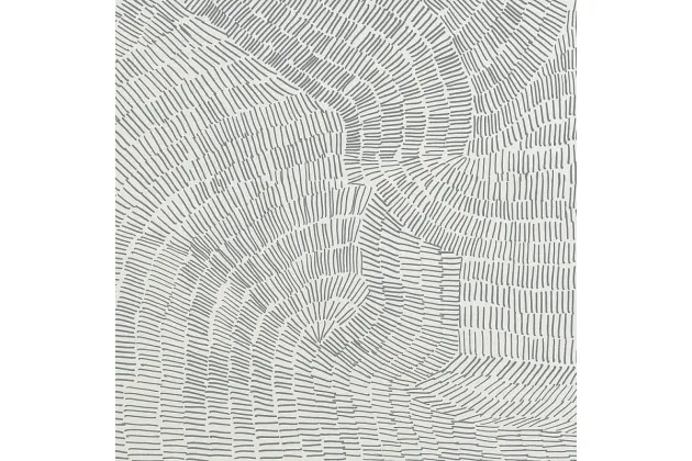 Fossil Grey 60x60 - płytka gresowa