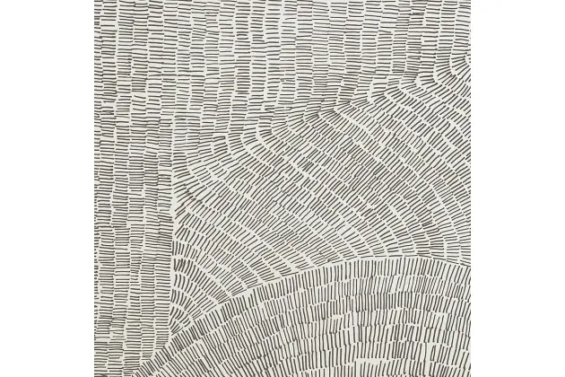 Fossil Brown 60x60 - płytka gresowa