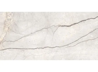 Mystone Silver Root White Nat. Ret. 60x120 MPFP - Płytka gresowa