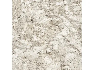 Typhoon Natural Super Shine 120x120 - płytka ścienna