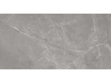 Arcadia Misty Taupe Ret. 60x120 MQGH - płytka gresowa