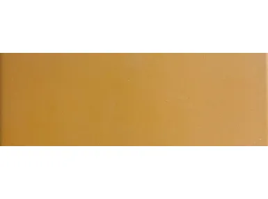 Croma Frond Brillo 10x30 - płytka gresowa