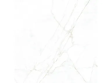 Museum Dual White NT 120x120 - płytka gresowa