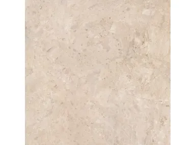 Ardara Caramel AS Rekt. 100x100 - płytka gresowa