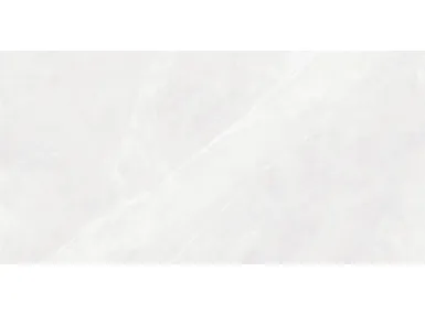 Dagma Blanco Gloss Rect. 60x120 - płytka gresowa