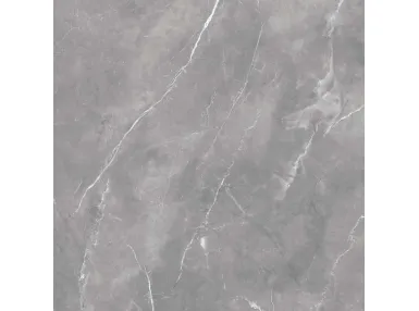 Dagma Gris Gloss Rect. 60x60 - płytka gresowa