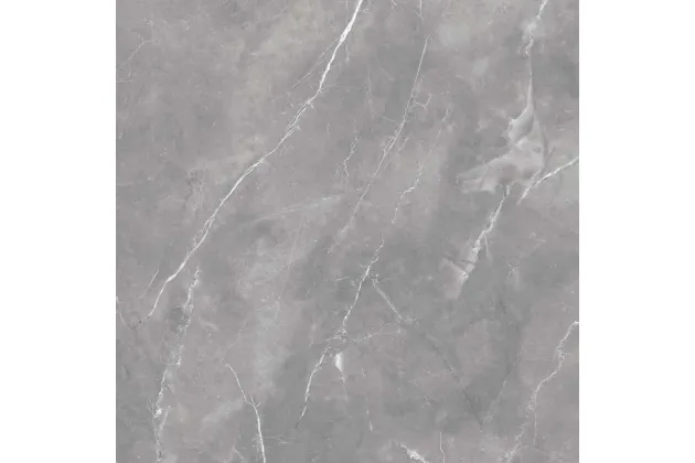 Dagma Gris Gloss Rect. 60x60 - płytka gresowa